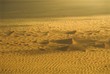 aerial view of dunes