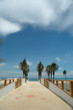 bridge to paradise bridge to paradise