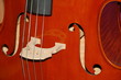 partie d'instrument à cordes