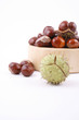 chestnuts