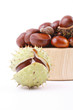 chestnuts