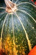 detail of pumpkin