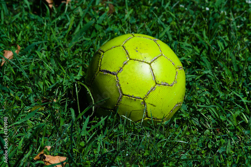 Photo: old ball on the grass-plot old ball on the grass-plot