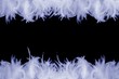 frame of feathers