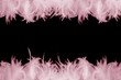 feathery frame