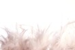 white feathers