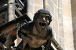 prague gargoyle prague gargoyle
