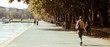promenade automne