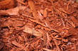 cedar mulch
