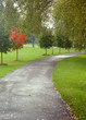 lone red soldier
