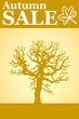 autumn sale poster