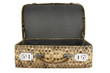 snakeskin bag w/ path
