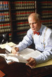 lawyer working in law library