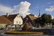 estland 13
