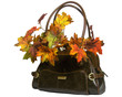 fall accessories