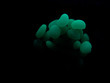 globule