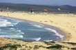 kites