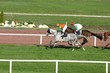 course de chevaux