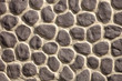 stone wall texture stone wall texture