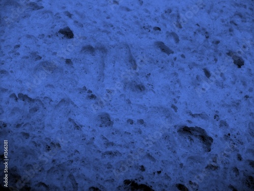 Photo: blue sponge blue sponge