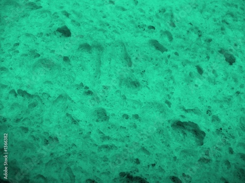 Photo: green sponge green sponge