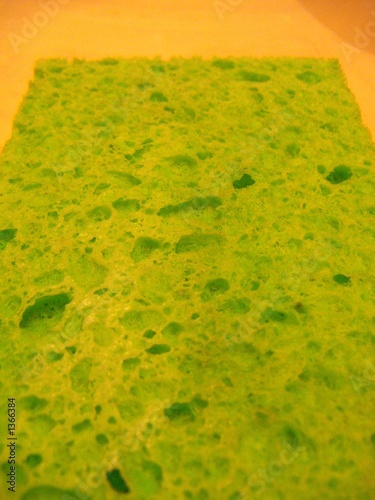 Photo: green sponge green sponge