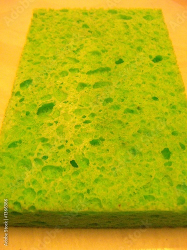Photo: green sponge green sponge