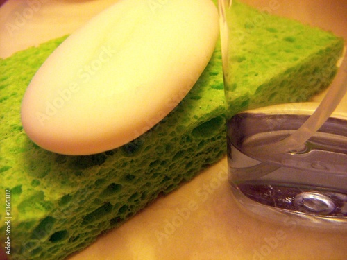 Photo: sponge and soap sponge and soap