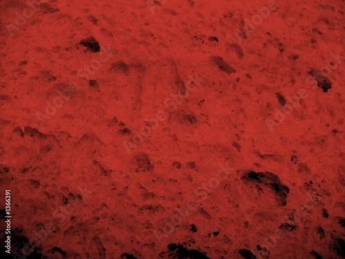 Photo: red sponge red sponge