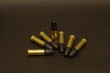 .22lr ammunition