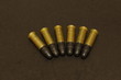 rimfire cartridges