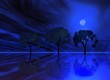 blue night. trio trees