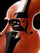 violon