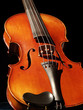 violon