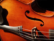 violon gros plan