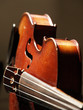 violon