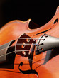 violon gros plan