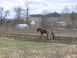 ploughing with horse