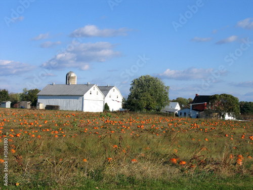 Photo: amish farm amish farm