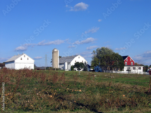 Photo: the farm the farm