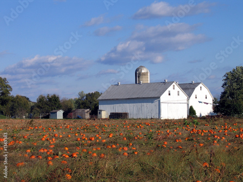 Photo: twin barns twin barns