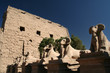 sphinxes at karnak temple