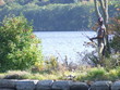 chief chocorua - lake winnipesaukee