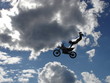 free as a bird