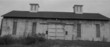 black and white barn