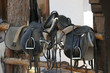 Image : saddles