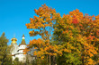 golden autumn