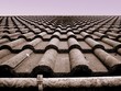 roofing slates