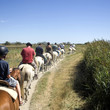 file indienne