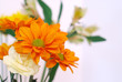 pumpkin daisies